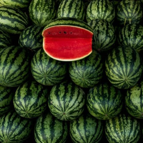 Organic Watermelon