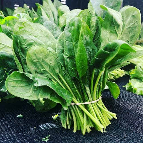 Organic Spinach